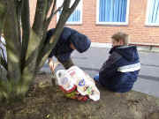 loeg-6.JPG (150249 byte)