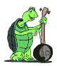 skildpadde-1.gif (18242 bytes)