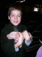 grisetur-2005-30.jpg (76810 byte)