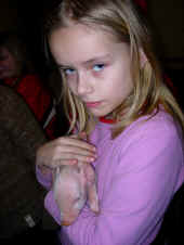 grisetur-2005-31.jpg (149889 byte)