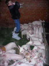 grisetur-2005-47.jpg (149268 byte)