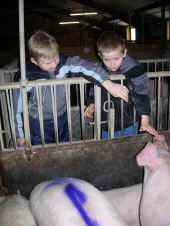 grisetur-2005-51.jpg (186347 byte)