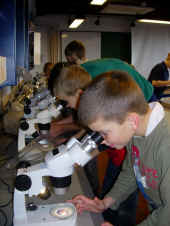 3a-minilejr 127 - nords�museum1.JPG.JPG (286003 byte)